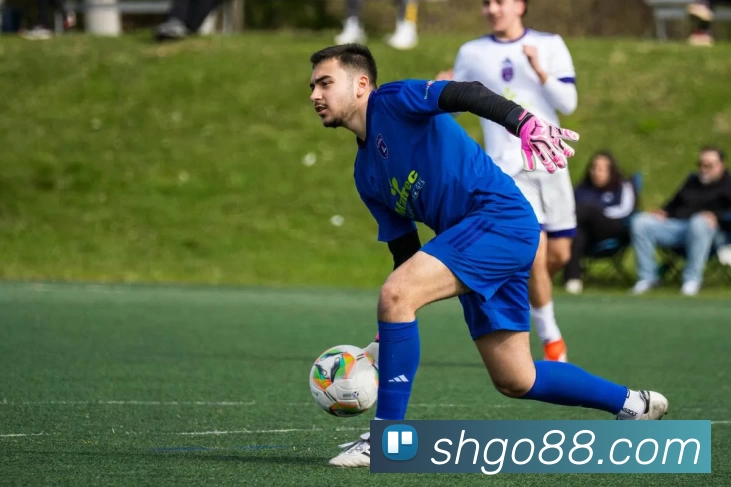 盛煌娱乐官网发展历程