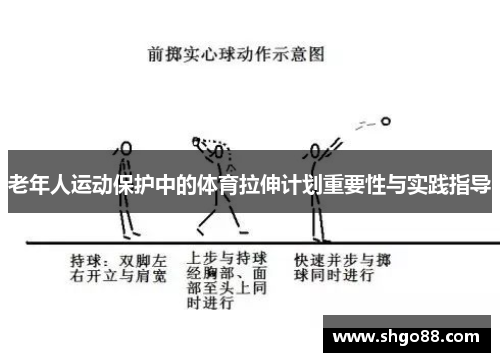 老年人运动保护中的体育拉伸计划重要性与实践指导
